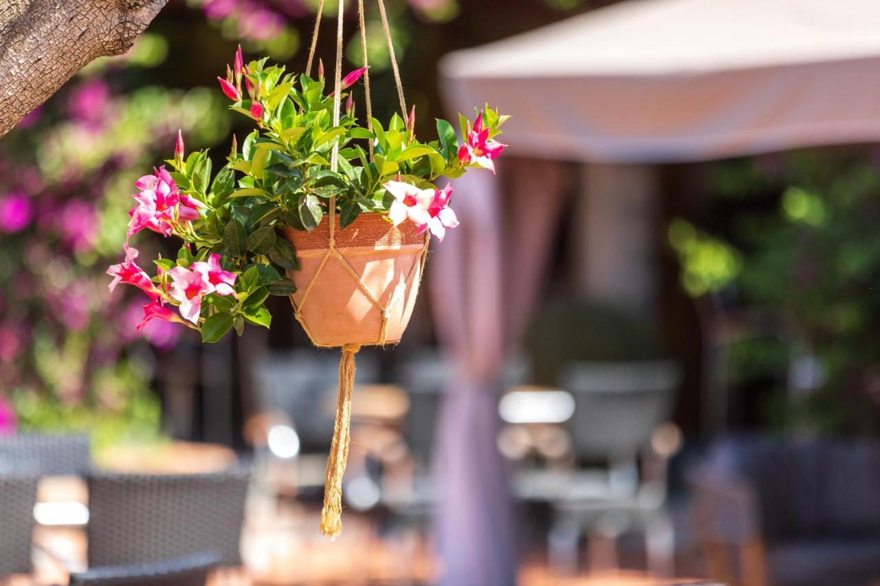 Club Saraceno - Bovis Hotel